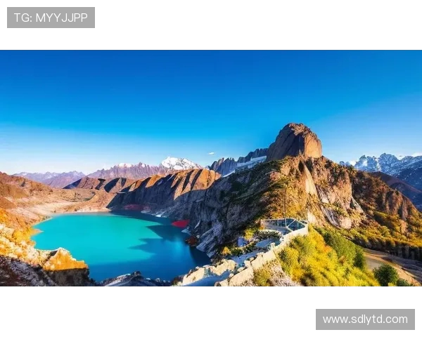 卡洛斯的传奇人生与他在时代变革中展现的非凡智慧与坚韧力量 卡洛斯的传奇人生与他在时代变革中展现的非凡智慧与坚韧力量