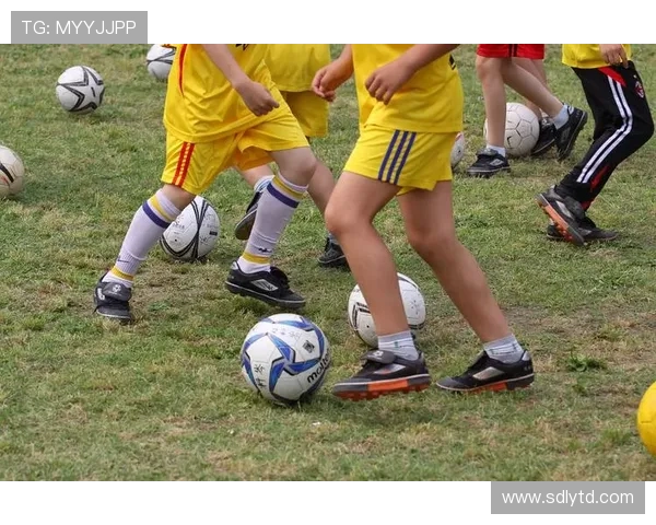 益阳队足球奋勇拼搏展现团队精神推动地方体育事业蓬勃发展