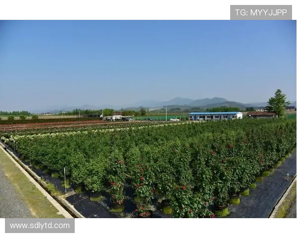 围绕苏州KSG打造区域创新发展高地促进产业集聚升级示范样板区