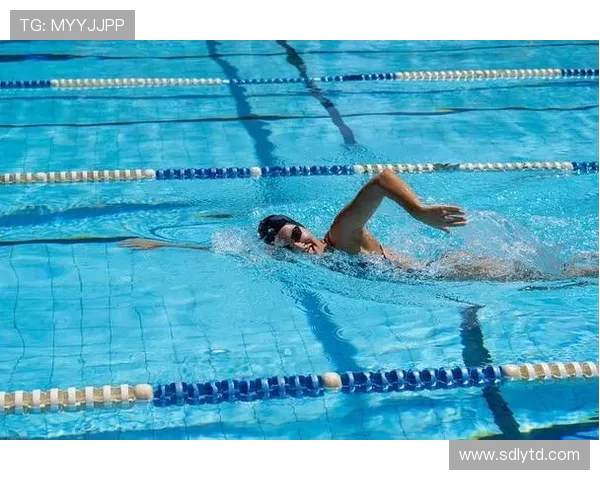 从高空一跃之间探寻力量与优雅并存的跳水运动之美 从高空一跃之间探寻力量与优雅并存的跳水运动之美