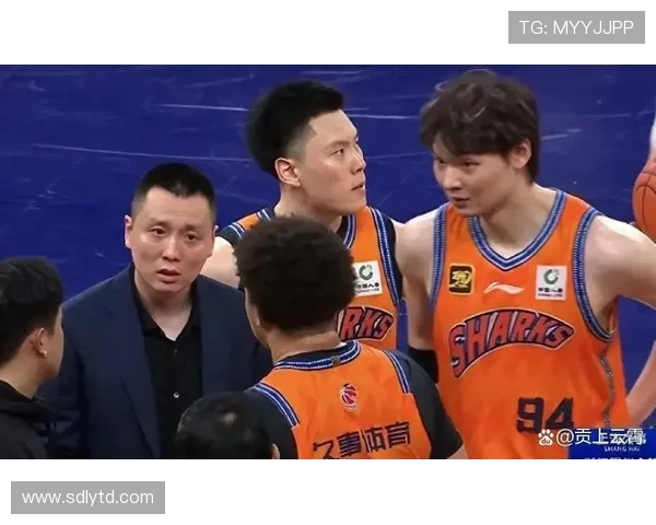 上海篮球队实力强劲荣登全国力量排行榜第五名