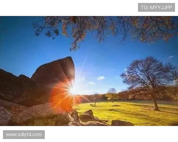 从零起步掌握极限运动心理素质的全面指南与实用技巧