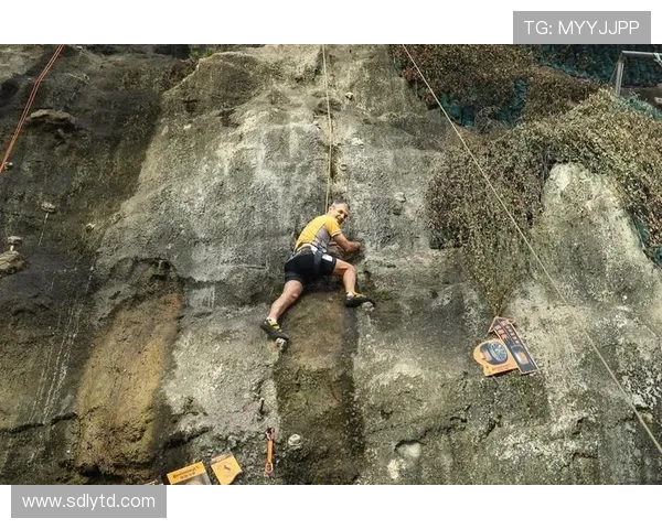 北京攀岩队在城市马拉松中的节奏表现分析与点评 北京攀岩队在城市马拉松中的节奏表现分析与点评
