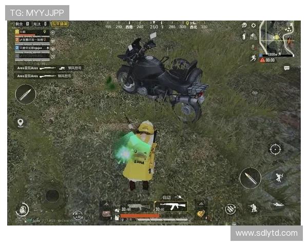 和平精英纪实：深入探讨LNG战队的蜕变与成长历程