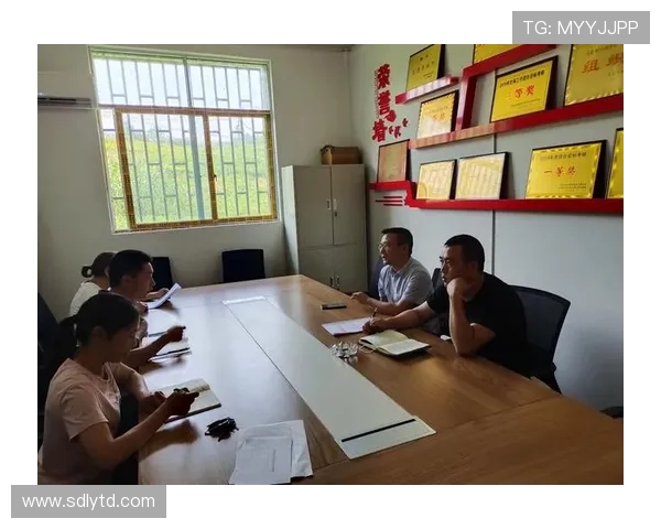 提升个人能力助力团队发展北京羽毛球队的训练与成长之路