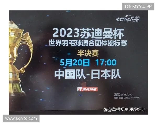 杭州羽毛球队在杯赛中的灵活性表现分析与战术探讨