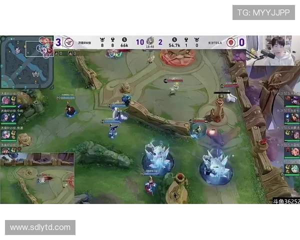 王者荣耀灵活性排行榜揭晓TES战队表现抢眼位居第一