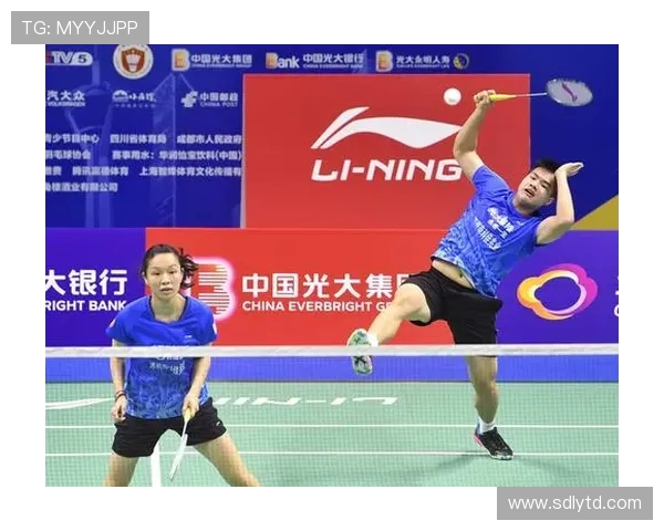 羽毛球巨献：深入分析深圳羽毛球队成员的个人技术与战术能力