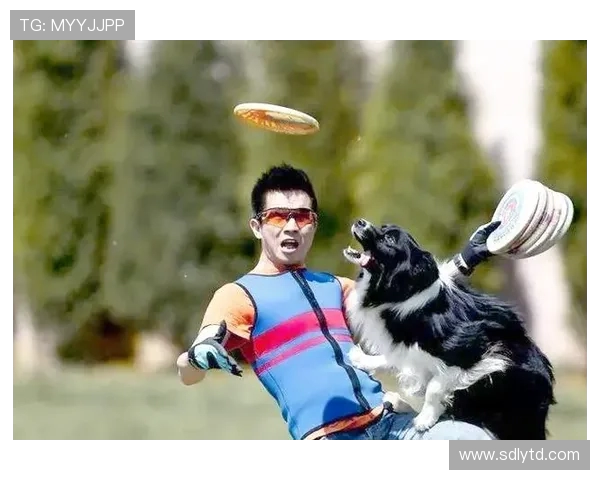 飞盘新手必看：灵活性训练与技巧全面入门指南