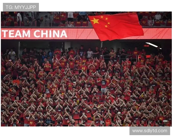 巴西与中国足球比赛赔率分析及投注建议详解